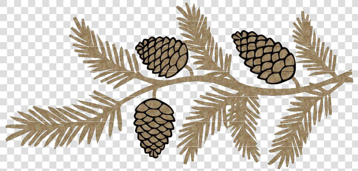 Pinecone Png Photo  Transparent PngTransparent PNG