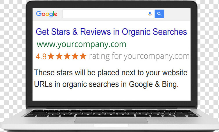 Stars In Organic Searches   Myheritage Dna  HD Png DownloadTransparent PNG