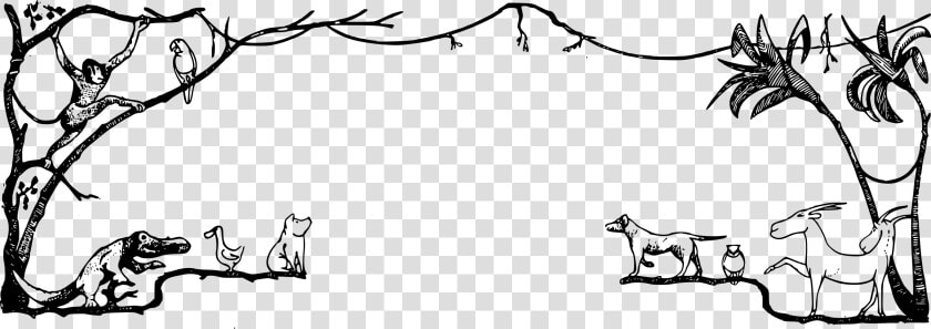 Free Jungle Cliparts Frames   Rainforest Border Black And White  HD Png DownloadTransparent PNG