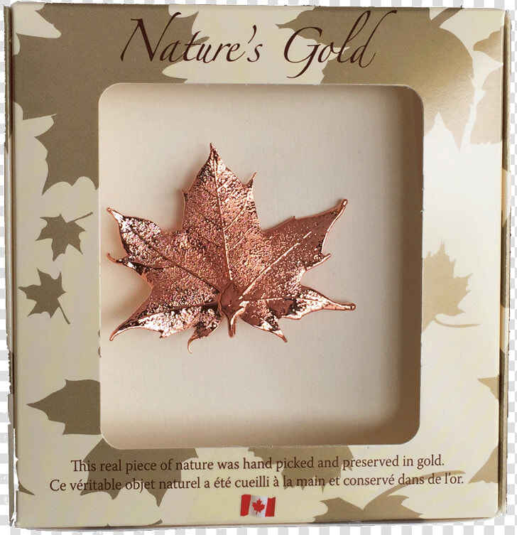 Copper Dipped Maple Leaf  HD Png DownloadTransparent PNG