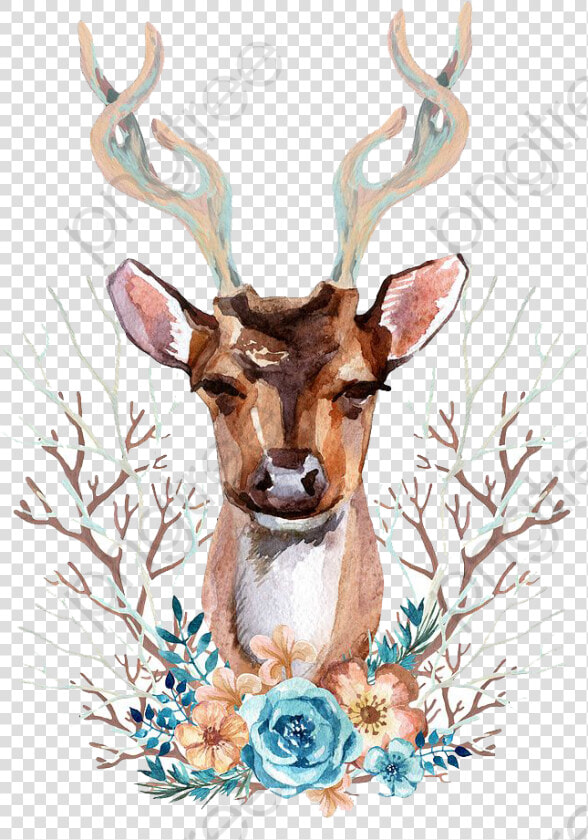 Transparent Deer Antlers Clipart   Deer Front View  HD Png DownloadTransparent PNG