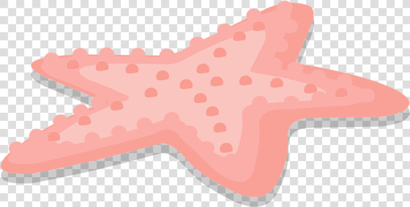 Estrella De Mar Png  Transparent PngTransparent PNG