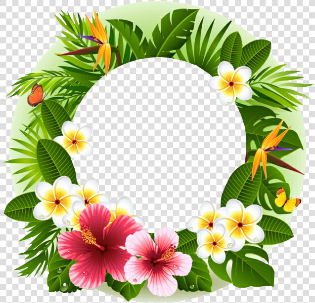 Tropical Summer Frame Pictureframe Circleframe Flamingo   Tropical Flower Border Png  Transparent PngTransparent PNG