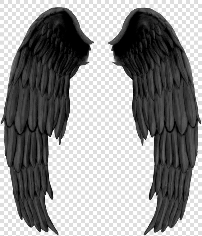 Realistic Angel Wings Png   Petronas Towers  Transparent PngTransparent PNG
