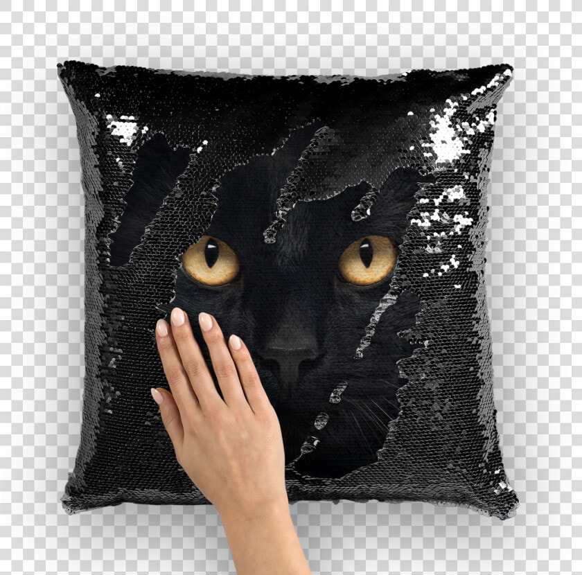 Mezmerizing Black Cat Eyes Magical Hidden Pillow   Nicolas Cage Sequin Throw Pillow  HD Png DownloadTransparent PNG