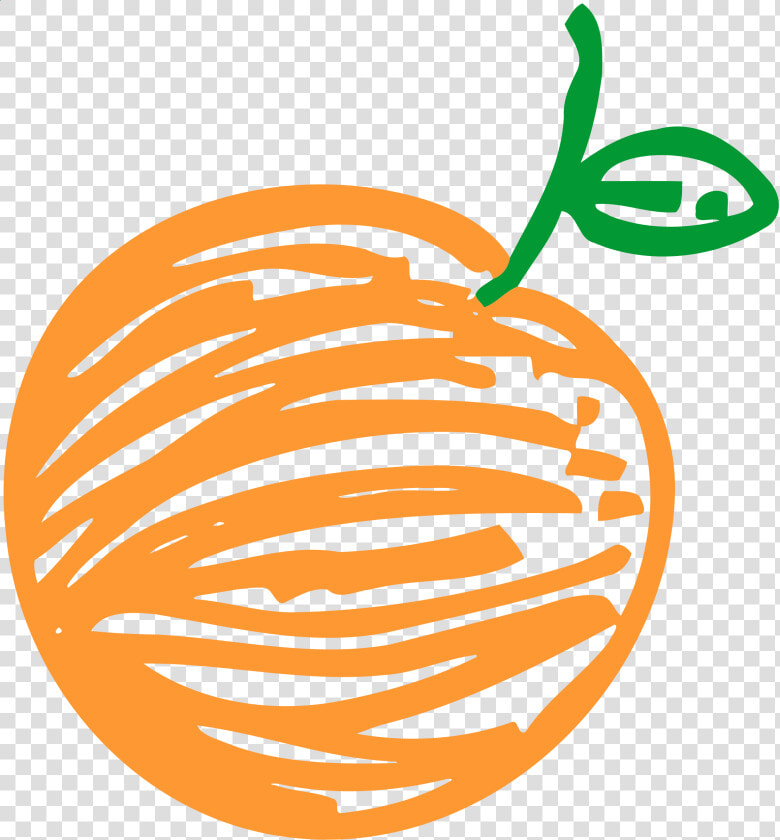 Line Art plant commodity   Sketsa Orange  HD Png DownloadTransparent PNG