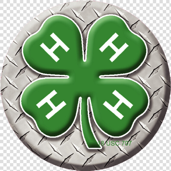 4h Clover Png   4 H Clover  Transparent PngTransparent PNG