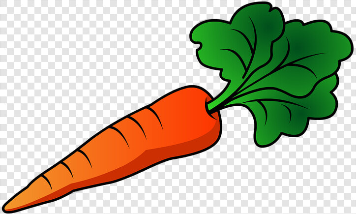 Radish Png Transparent   Transparent Background Carrots Clipart  Png DownloadTransparent PNG