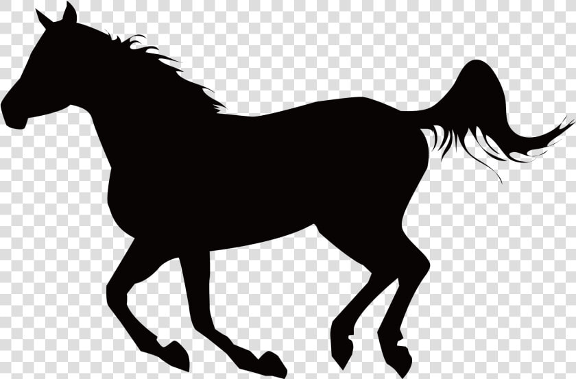 Mustang Stallion Equestrianism Clip Art   Horse  HD Png DownloadTransparent PNG