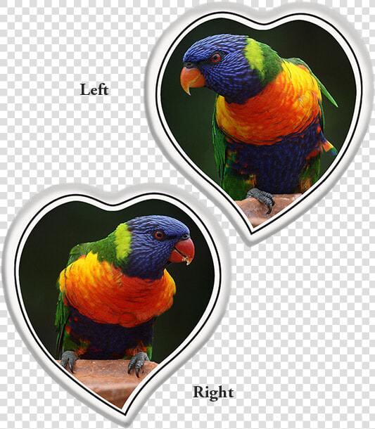 Tear Shaped Heart Left Or Right   World Parrot Day  HD Png DownloadTransparent PNG