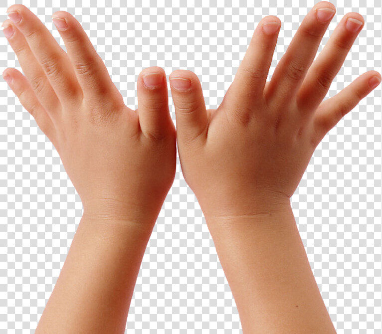 Transparent Children Raising Hands Clipart   Children Hand Clipart  HD Png DownloadTransparent PNG