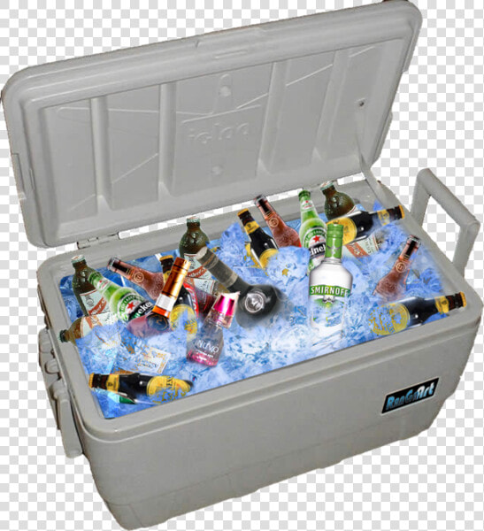 Igloo Cooler  HD Png DownloadTransparent PNG