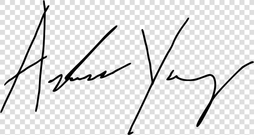 Andrew Signature Png  Transparent PngTransparent PNG