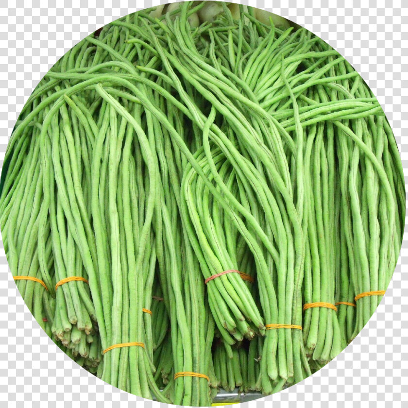 Chinese Noodle Bean   Long Yard Beans  HD Png DownloadTransparent PNG
