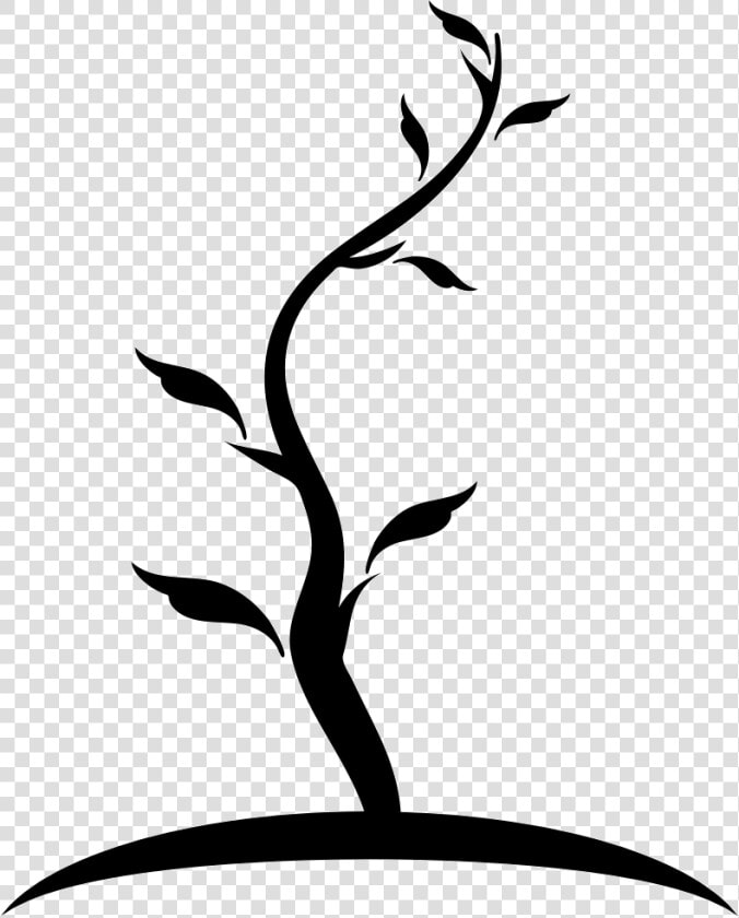 Tree Thin Shape Of Young Trunk With Few Leaves   Arbol Dibujo Y Tronco  HD Png DownloadTransparent PNG