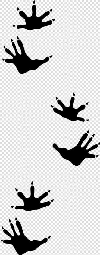 Opossum Track   Opossum Paw Prints  HD Png DownloadTransparent PNG
