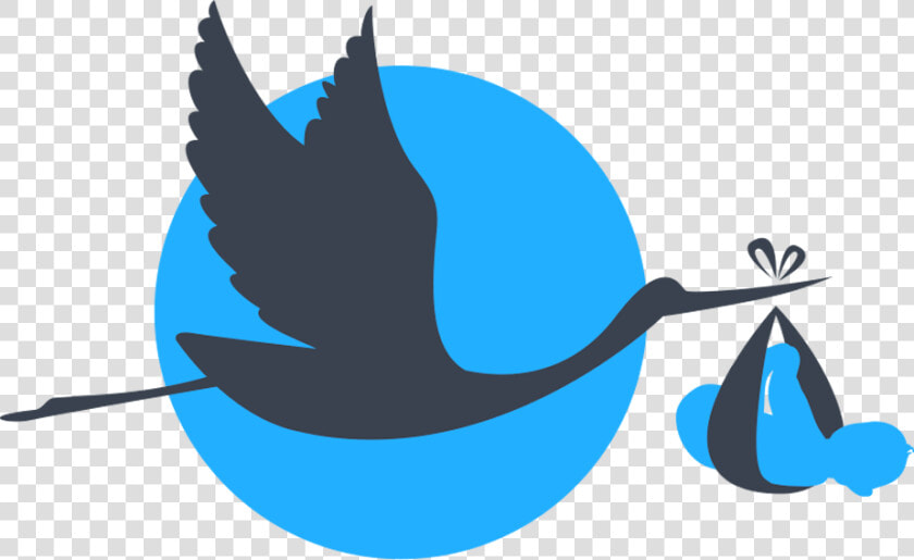 Baby Boy Stork Png Picture Royalty Free Download   Stork Baby Boy  Transparent PngTransparent PNG