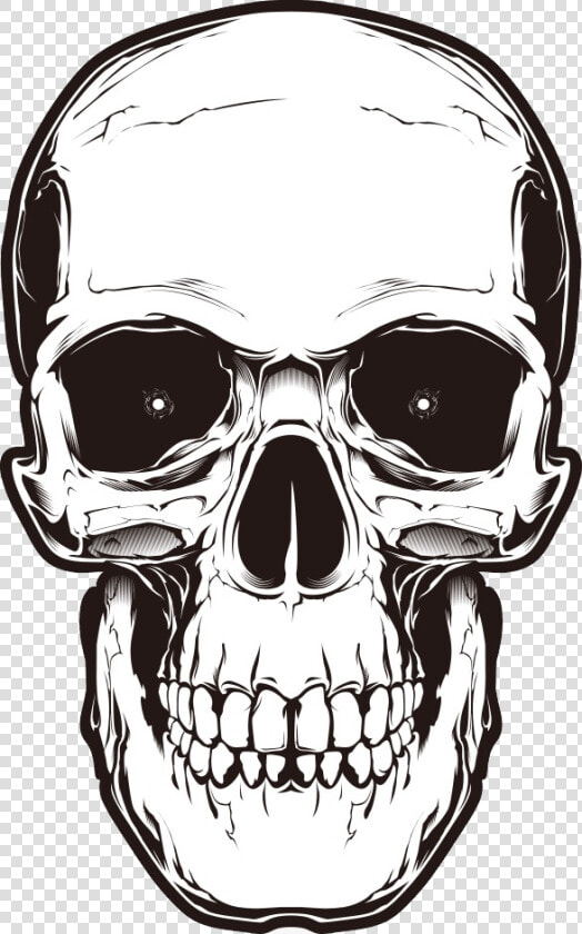 Human Skull Symbolism  HD Png DownloadTransparent PNG