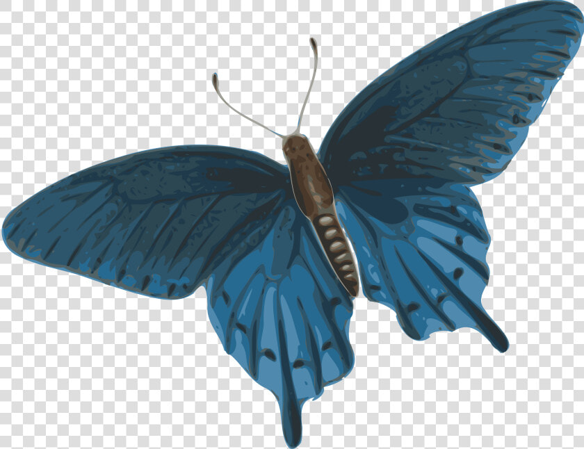 Butterfly Flying Png Gif   Dark Blue Butterfly Png  Transparent PngTransparent PNG