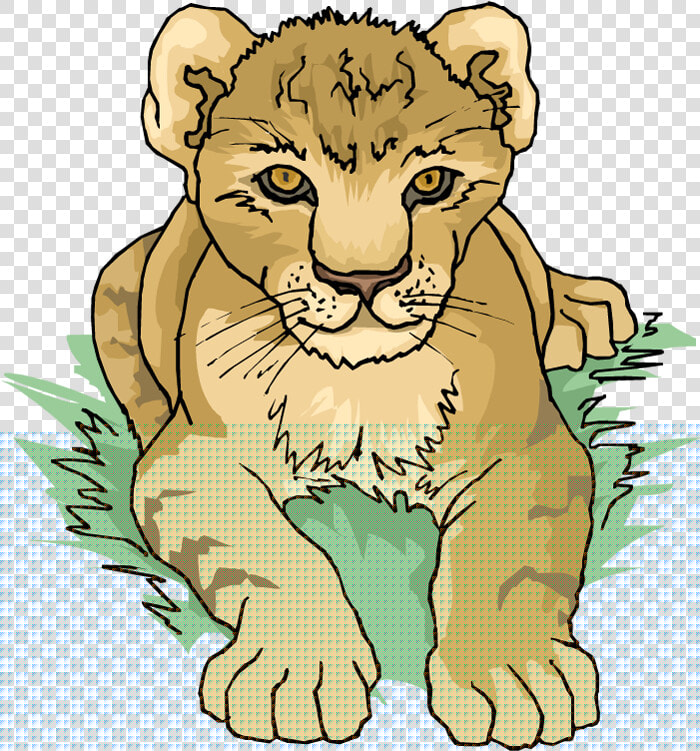 Free Lion Cub   Free Clipart Lion Cub  HD Png DownloadTransparent PNG