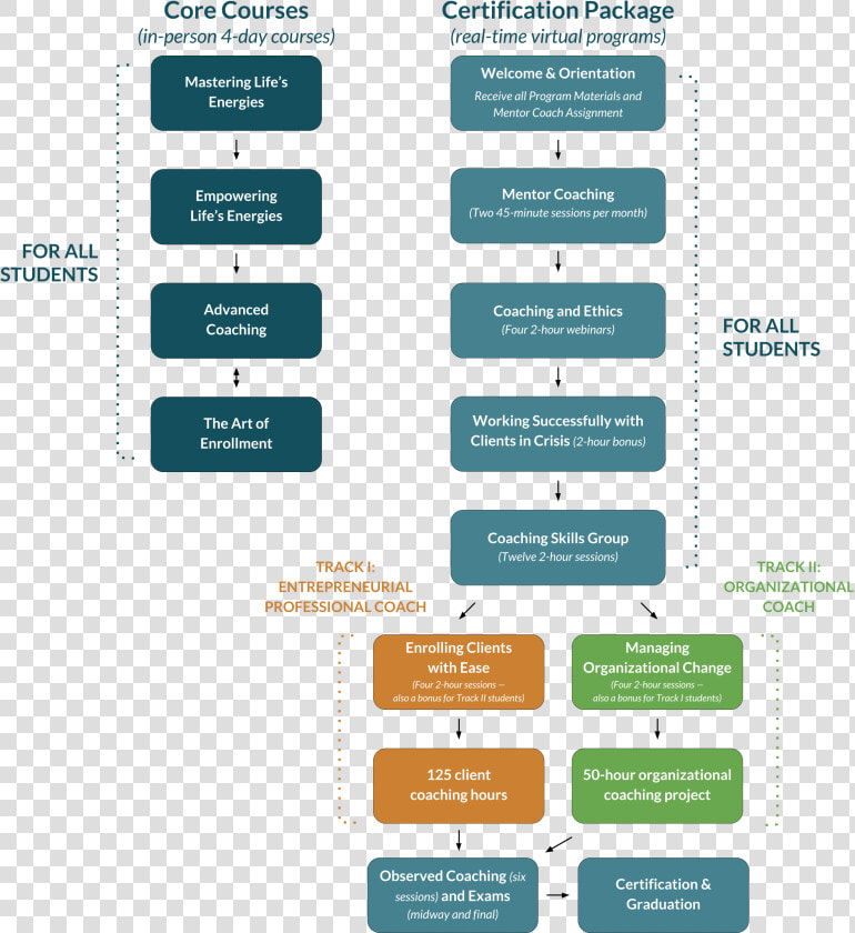 Transparent Flow Chart Png   Flow Chart Of Training  Png DownloadTransparent PNG