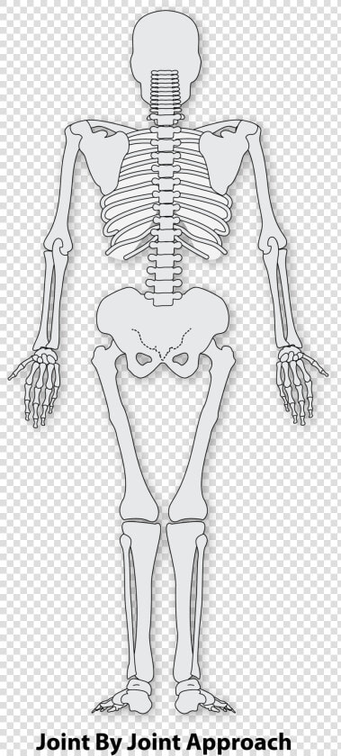 Transparent Skeleton Arm Png   Highfield Awarding Body For Compliance  Png DownloadTransparent PNG
