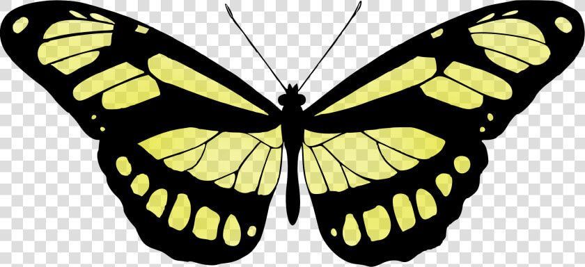 Butterfly 15 Clip Arts   Vintage Butterfly Images Free  HD Png DownloadTransparent PNG
