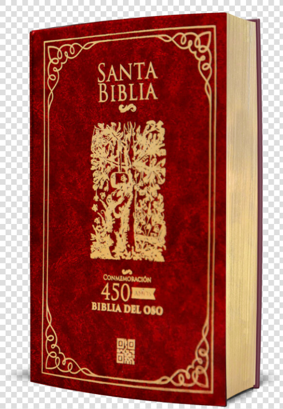 Biblia Del Oso A Color  HD Png DownloadTransparent PNG