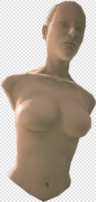 Dead Rising Wiki   Mannequin Torso Png  Transparent PngTransparent PNG