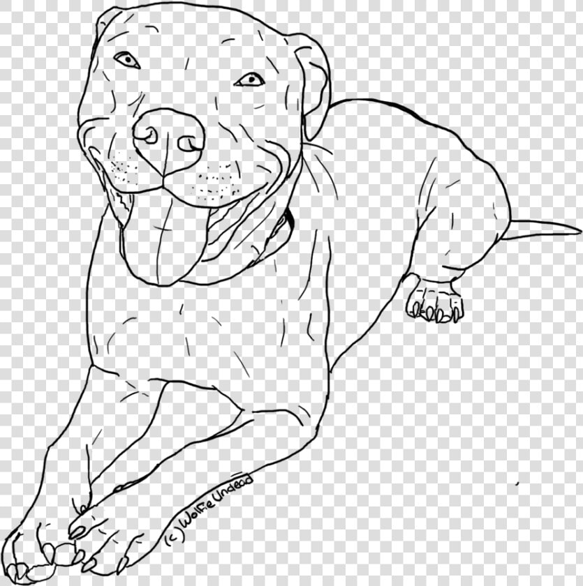 Red Nose Pitbull Drawings   Cute Dog Drawings Pitbull  HD Png DownloadTransparent PNG