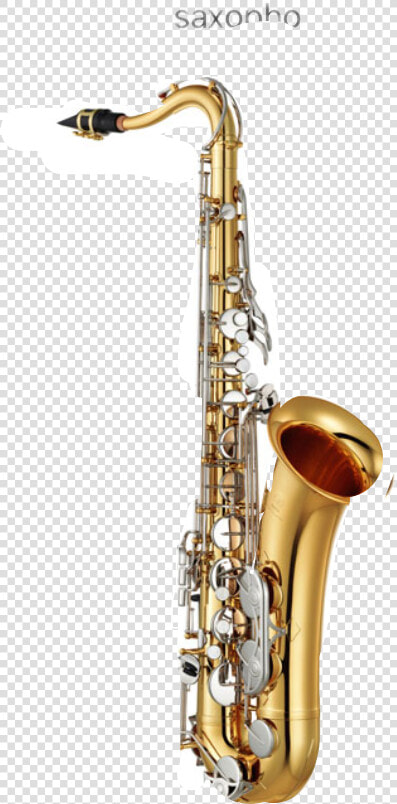Tenor Saxophone  HD Png DownloadTransparent PNG