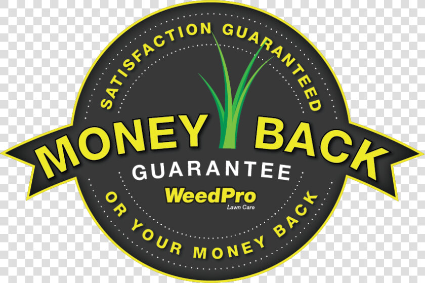 Sundance Channel  HD Png DownloadTransparent PNG