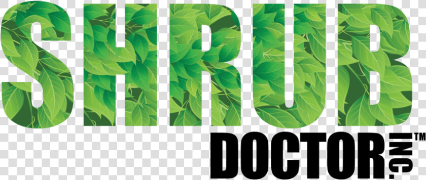 Shrub Doctor Logo   Site Under Construction  HD Png DownloadTransparent PNG