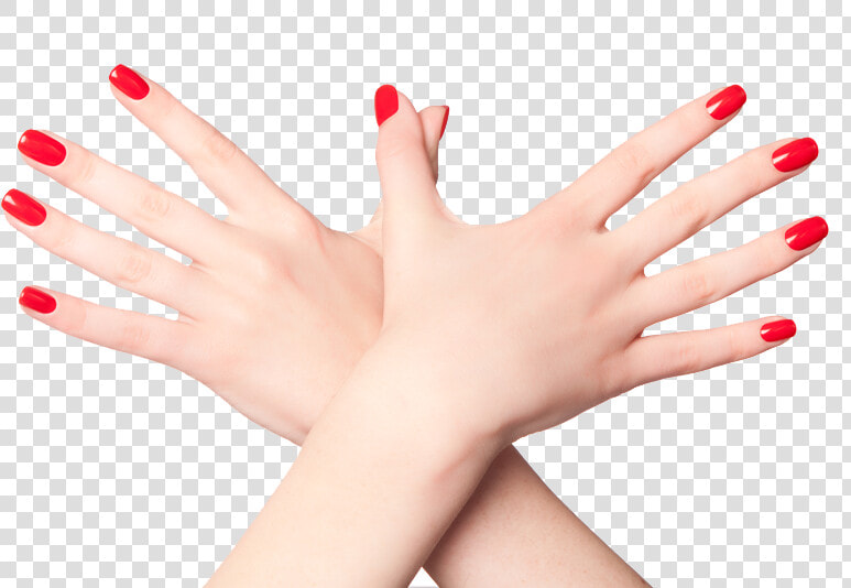 Nails Png   Bio Sculpture Hazy Forest Colour  Transparent PngTransparent PNG