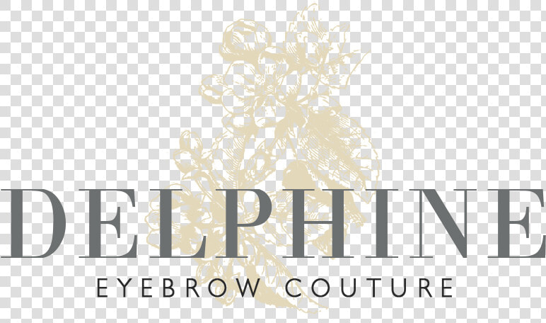 Logo delphine  HD Png DownloadTransparent PNG