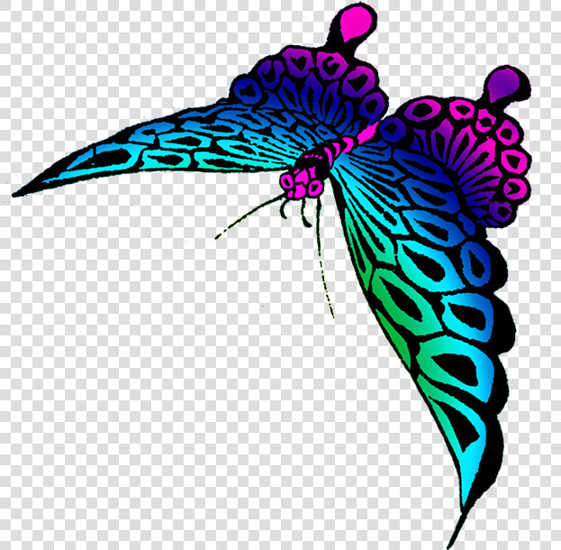 Strange Colored Butterfly Image   Transparent Colorful Butterfly  HD Png DownloadTransparent PNG
