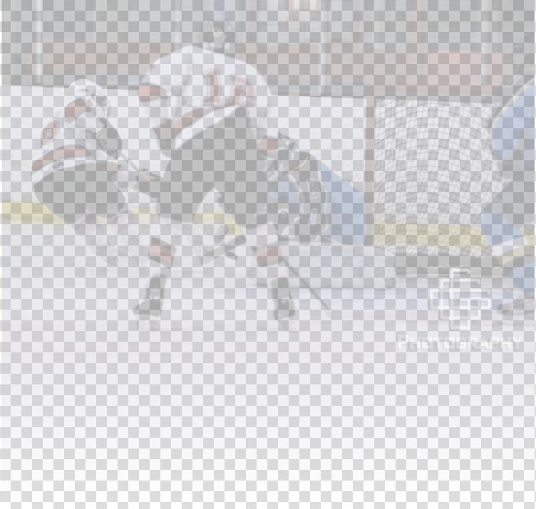 Transparent Hockey Rink Png   College Ice Hockey  Png DownloadTransparent PNG