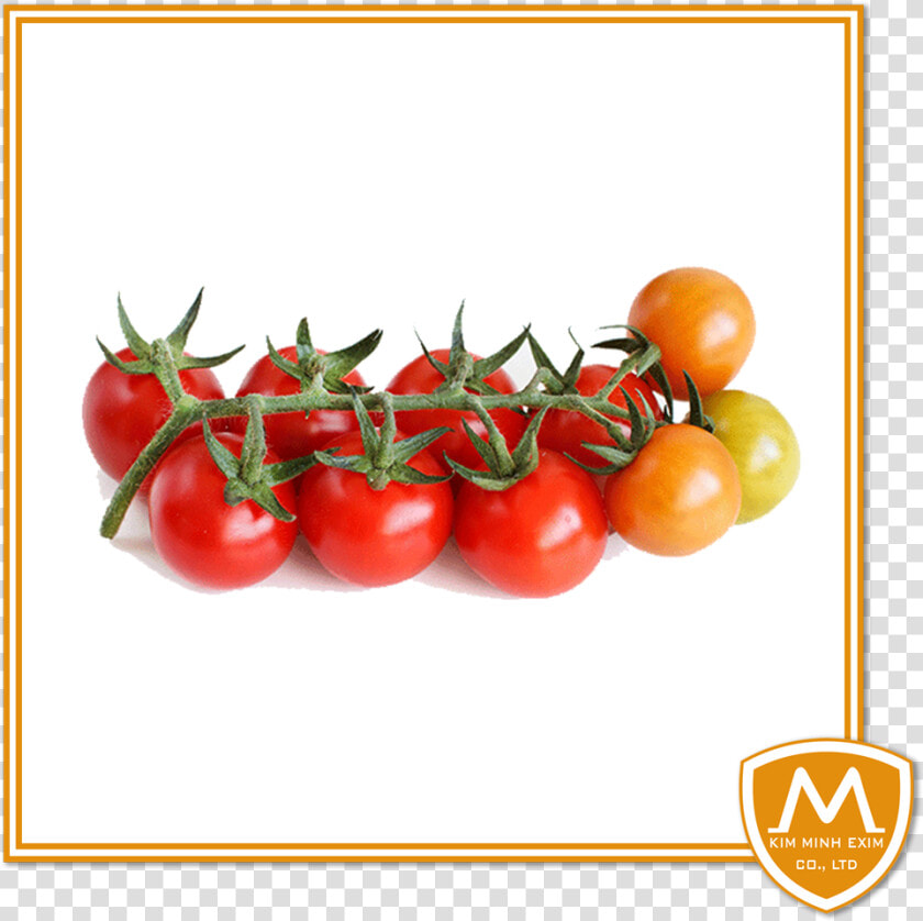 Cherry tomato   Plum Tomato  HD Png DownloadTransparent PNG