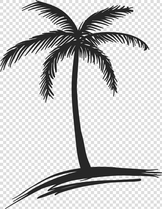 Drawing Coconut Arecaceae Tree Watercolor Painting   Small Palm Tree Drawing  HD Png DownloadTransparent PNG