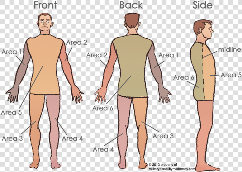 Torso Definition  HD Png DownloadTransparent PNG