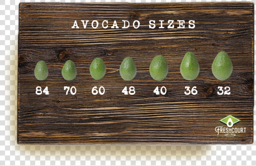 Avocado Sizes Table   Plywood  HD Png DownloadTransparent PNG