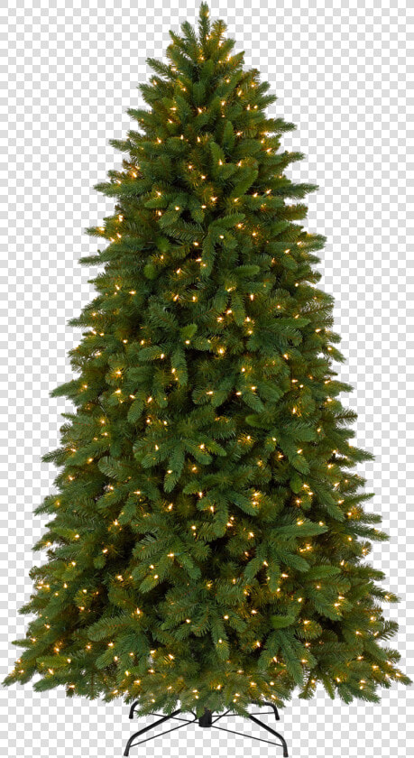 Fir Tree Png Hd Background   Christmas Tree  Transparent PngTransparent PNG