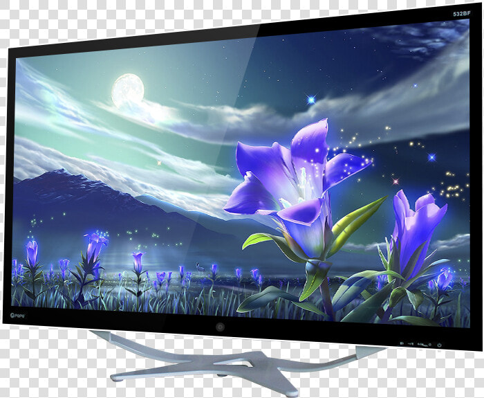 Fleur Au Clair De Lune  HD Png DownloadTransparent PNG