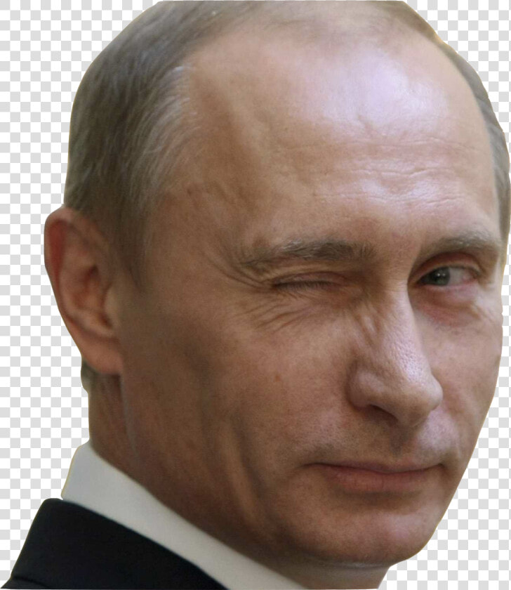 Putin Face Transparent Transparent Background  HD Png DownloadTransparent PNG