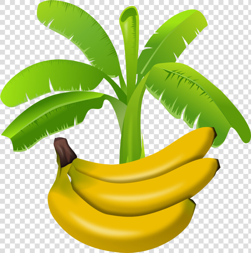 Banana Tree Clipart Png   Gambar Pohon Pisang Kartun  Transparent PngTransparent PNG