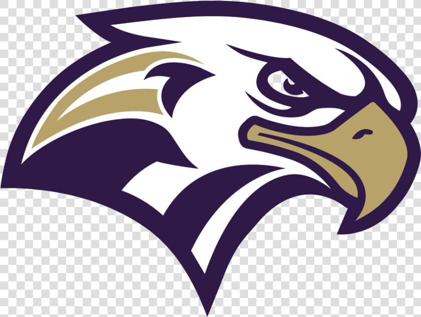 Bald Eagle Logo Beak Philadelphia Eagles   American Football Logo Design Eagle  HD Png DownloadTransparent PNG