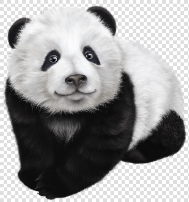 Panda Face Png   Transparent Panda Png  Png DownloadTransparent PNG