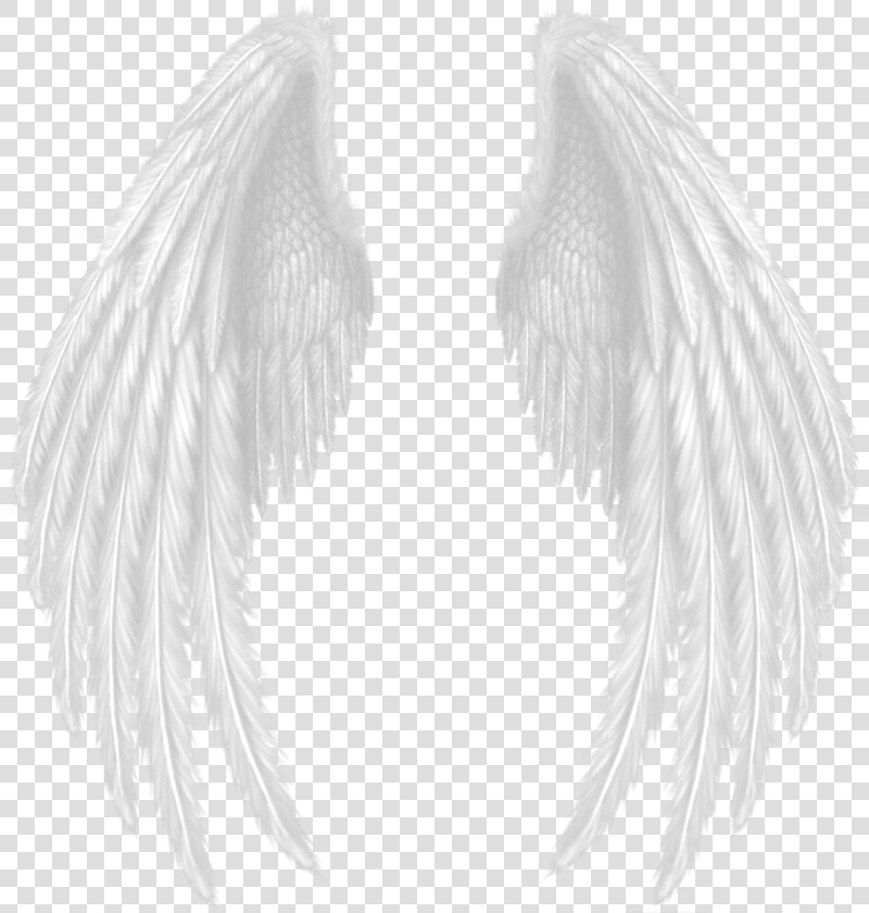 Wings   Devil Wings Png Hd  Transparent PngTransparent PNG
