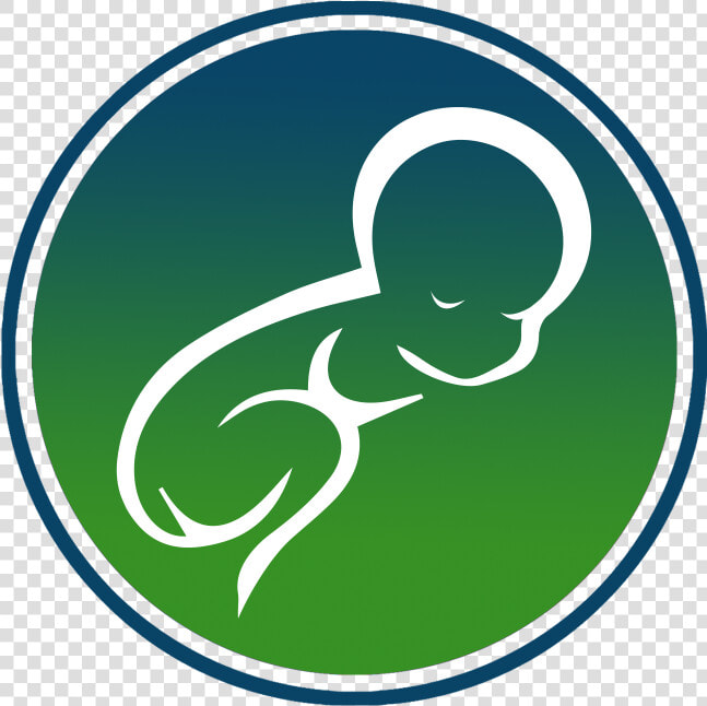 Hebie  HD Png DownloadTransparent PNG