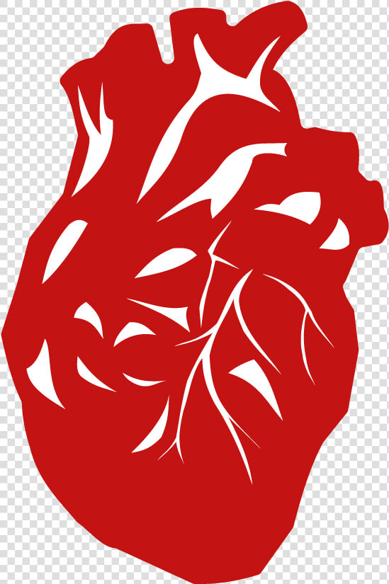 World Organ Donation Day 2019  HD Png DownloadTransparent PNG